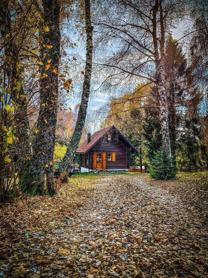 Pine Lodge Hlevci Ngoại thất bức ảnh
