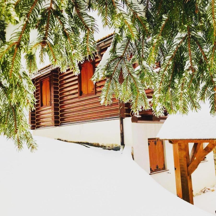 Pine Lodge Hlevci Ngoại thất bức ảnh